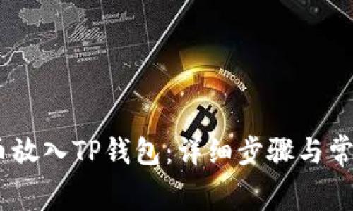 如何将Pig币放入TP钱包:详细步骤与常见问题解答