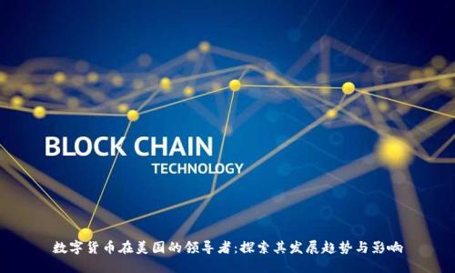 数字货币在美国的领导者：探索其发展趋势与影响