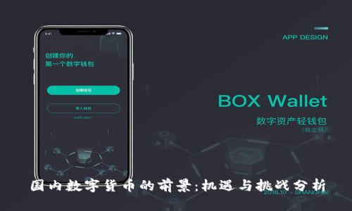 国内数字货币的前景：机遇与挑战分析