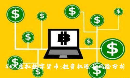 SEA虚拟数字货币：投资机遇与风险分析