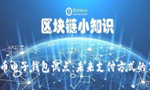  数字货币电子钱包试点：未来支付方式的革新之路