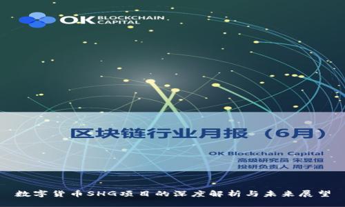数字货币SHG项目的深度解析与未来展望