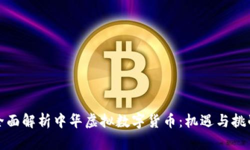全面解析中华虚拟数字货币：机遇与挑战