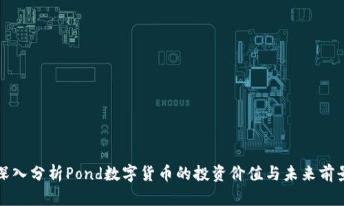 深入分析Pond数字货币的投资价值与未来前景