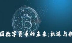 :中国数字货币的未来：机