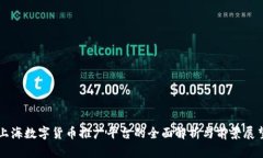 上海数字货币推广平台的
