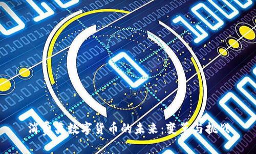 消费类数字货币的未来：变革与挑战