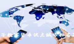 2023年电子数字货币试点城