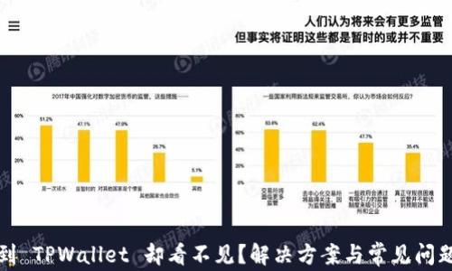 
提币到 TPWallet 却看不见？解决方案与常见问题分析