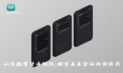 山东数字货币测试：探索