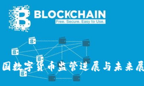 中国数字货币监管进展与未来展望