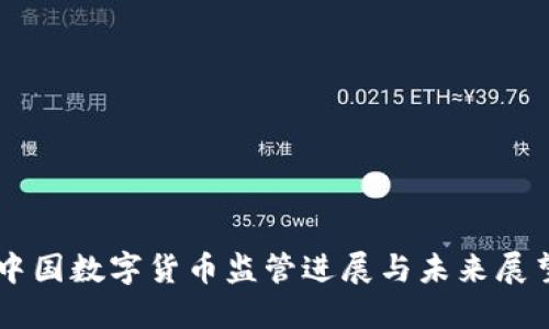 中国数字货币监管进展与未来展望