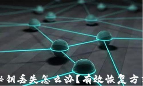 
以太坊钱包秘钥丢失怎么办？有效恢复方式及预防措施