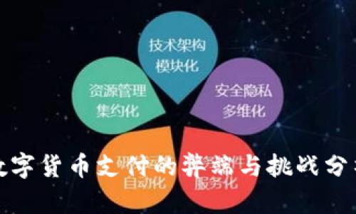 数字货币支付的弊端与挑战分析