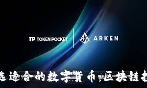   
如何挑选适合的数字货币：区块链投资指南