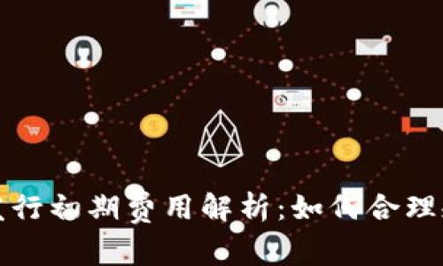 数字货币发行初期费用解析：如何合理规划和预算