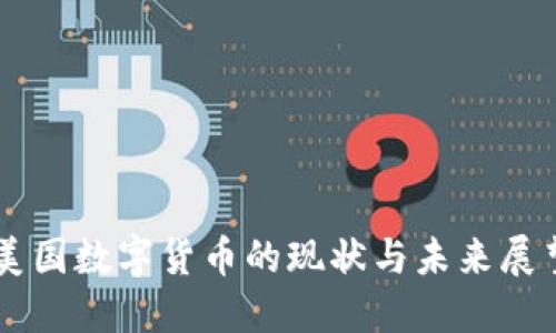 美国数字货币的现状与未来展望