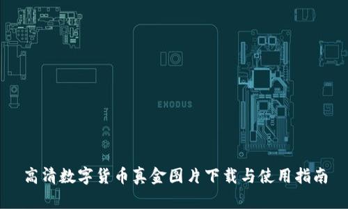 高清数字货币真金图片下载与使用指南