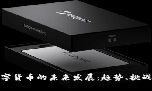 央行数字货币的未来发展：趋势、挑战与机遇