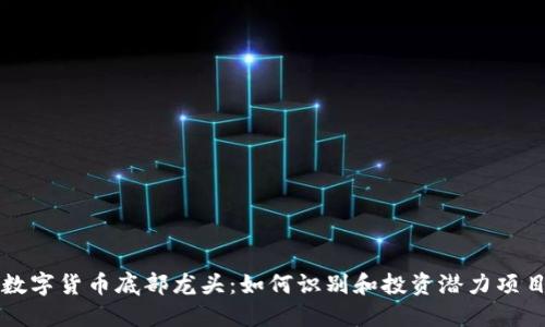数字货币底部龙头：如何识别和投资潜力项目