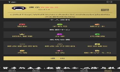  数字货币的未来：投资机会、风险与技术分析