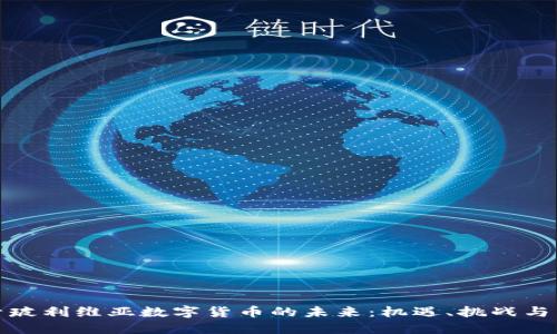 探索玻利维亚数字货币的未来：机遇、挑战与发展