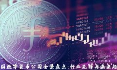 中国数字货币公司全景盘