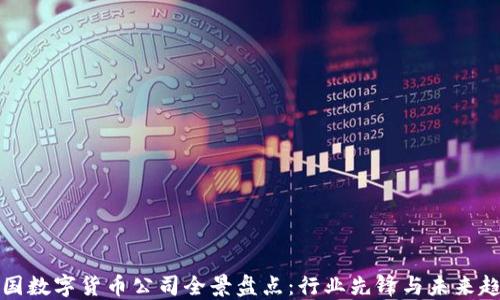 
中国数字货币公司全景盘点：行业先锋与未来趋势
