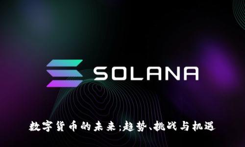 数字货币的未来：趋势、挑战与机遇