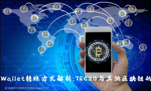 向TPWallet转账方式解析：TRC20与其他区块链的区别