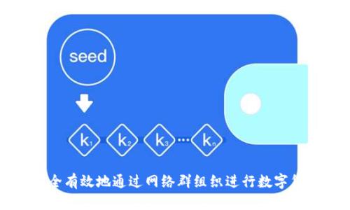 如何安全有效地通过网络群组织进行数字货币申购