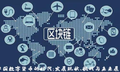 
中国数字货币的时代：发展现状、挑战与未来展望