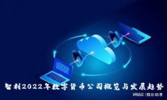 智利2022年数字货币公司概