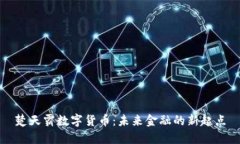 楚天霸数字货币：未来金