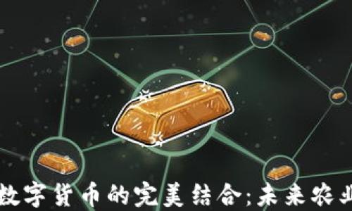 
乡村振兴与数字货币的完美结合：未来农业的变革之路