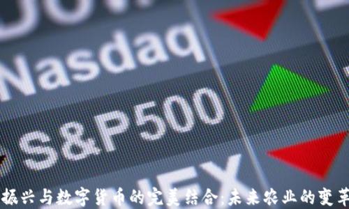 
乡村振兴与数字货币的完美结合：未来农业的变革之路