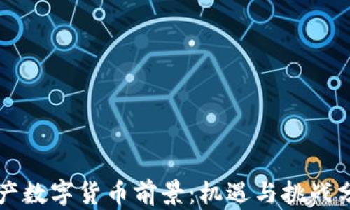 
国产数字货币前景：机遇与挑战分析
