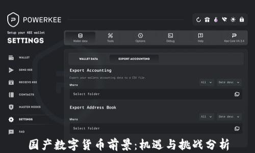 
国产数字货币前景：机遇与挑战分析