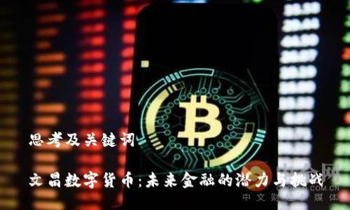 思考及关键词

文昌数字货币：未来金融的潜力与挑战