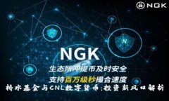 桥水基金与CNL数字货币：