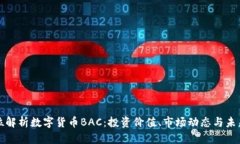 全方位解析数字货币BAC：