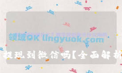 TPWallet能提现到微信吗？全面解析及操作指南