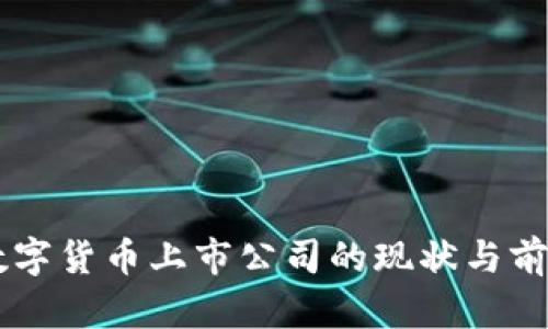 西安数字货币上市公司的现状与前景分析