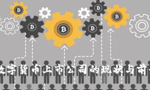 西安数字货币上市公司的现状与前景分析