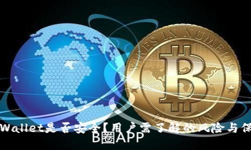 TPWallet是否安全？用户需了解的风险与保障