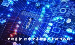  黑狮基金：数字货币投资