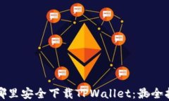 在哪里安全下载TPWallet：最