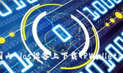 如何在国内-ios设备上下载