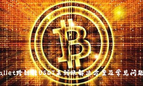 TPWallet跨链转USDT未到账解决方案及常见问题解析