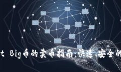 TP Wallet Big币的卖币指南：